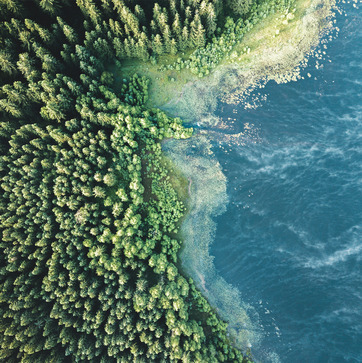 Sustentabilidade - A nossa responsabilidade